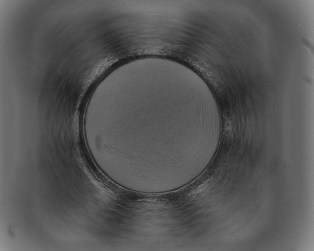 X0000091200678200709061414