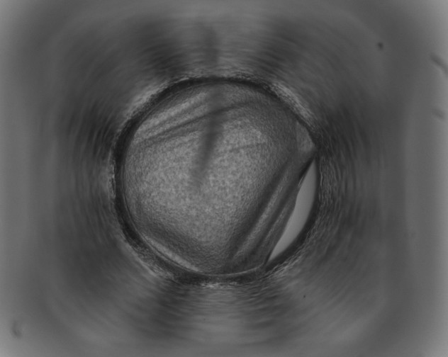 X0000091200680200709061414