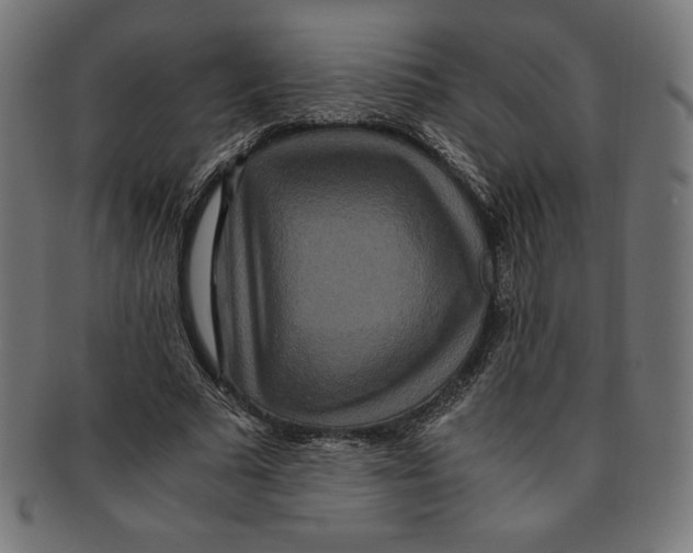 X0000091200681200709061414