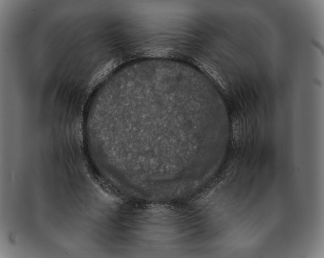 X0000091200682200709061414