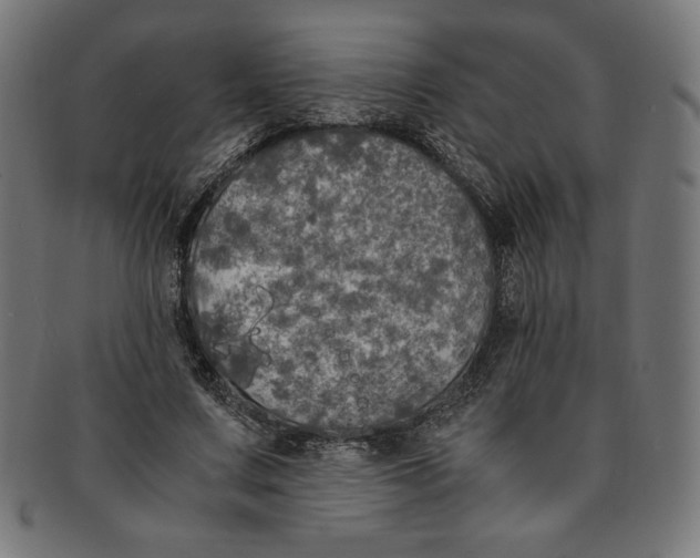 X0000091200683200709061414