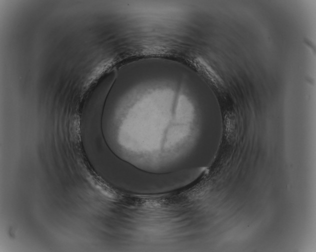X0000091200684200709061414