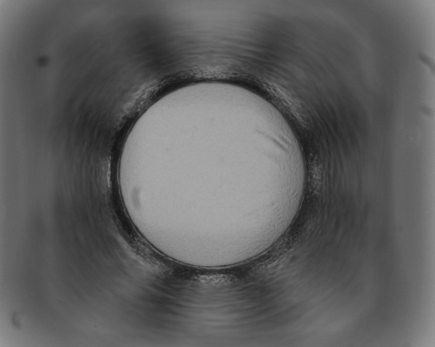 X0000091200686200709061414