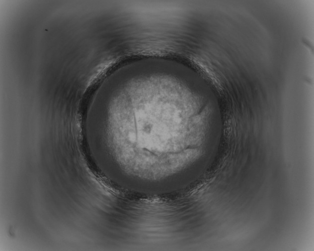 X0000091200688200709061414