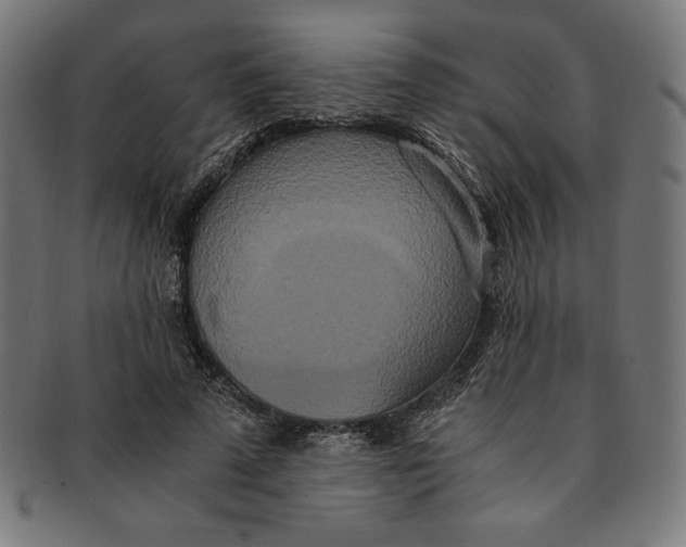 X0000091200689200709061414