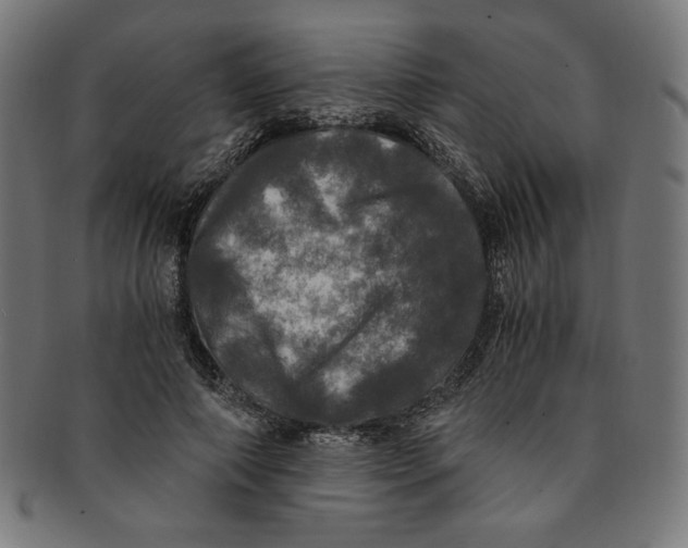 X0000091200690200709061414