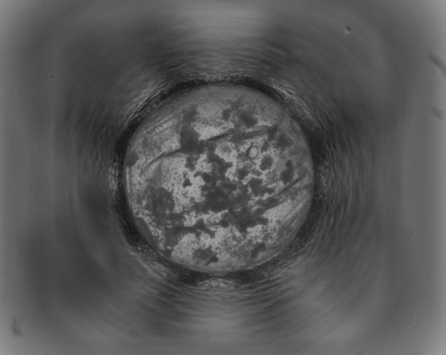 X0000091200691200709061414