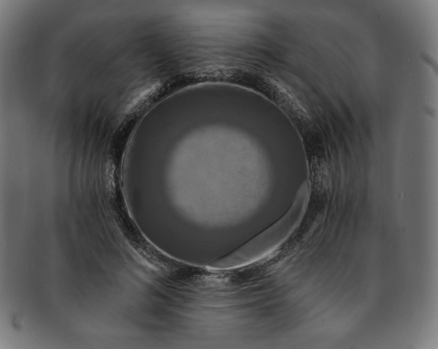 X0000091200692200709061414