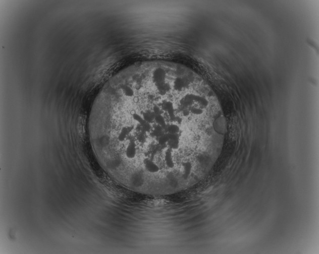 X0000091200695200709061413