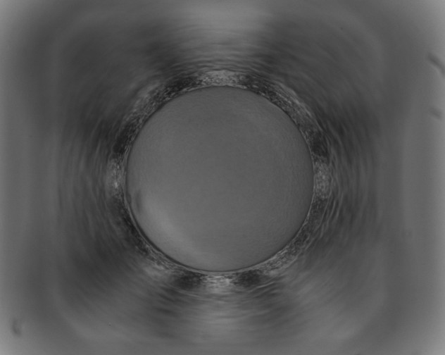 X0000091200701200709061413