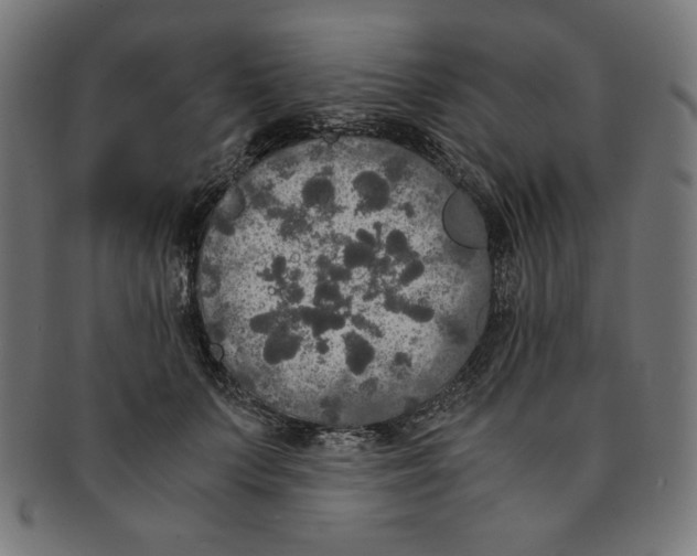 X0000091200703200709061413