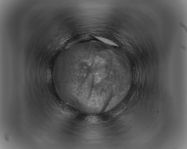 X0000091200704200709061413