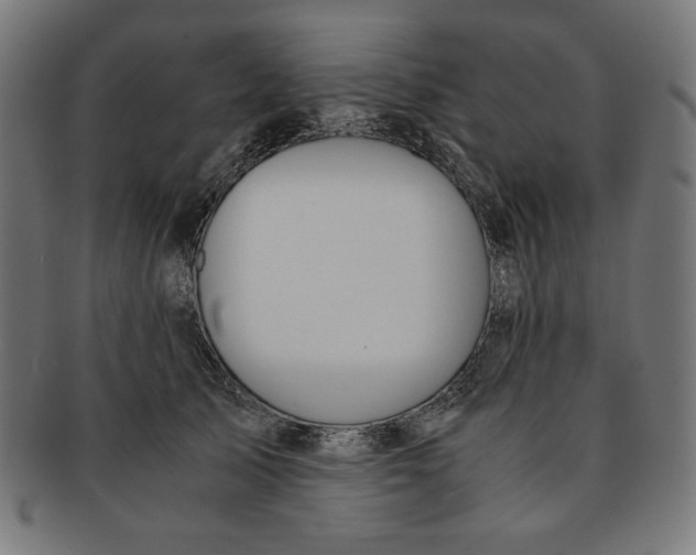 X0000091200705200709061413