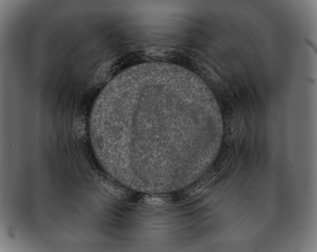 X0000091200706200709061413