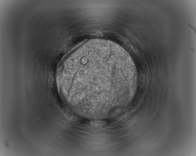 X0000091200707200709061413