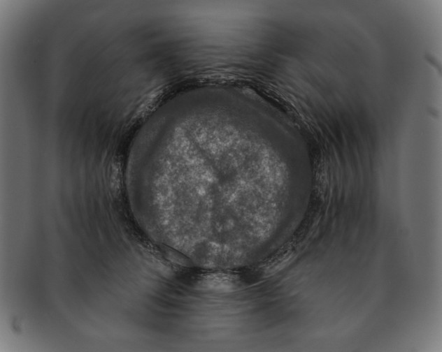 X0000091200708200709061413
