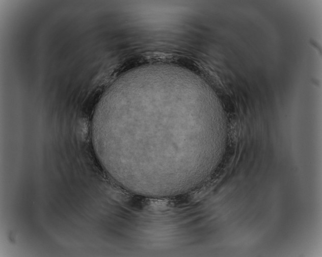 X0000091200709200709061413