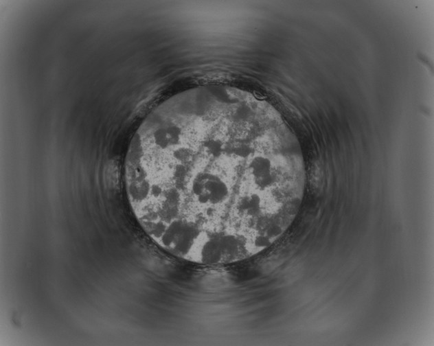 X0000091200715200709061413