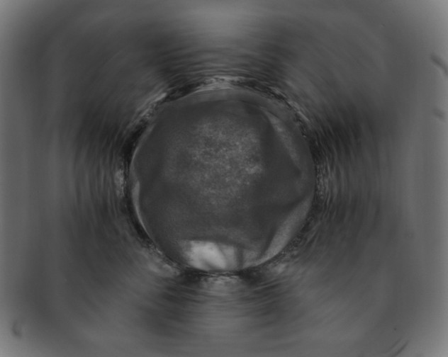 X0000091200716200709061413