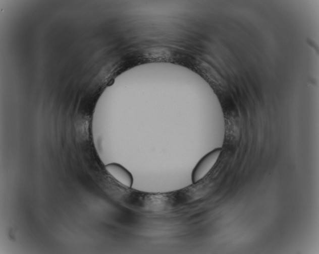 X0000091200717200709061413