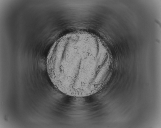X0000091200719200709061413