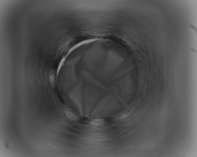 X0000091200720200709061413