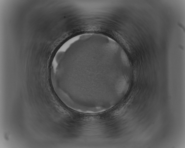 X0000091200721200709061413