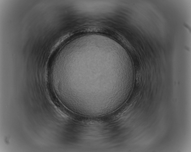 X0000091200722200709061413