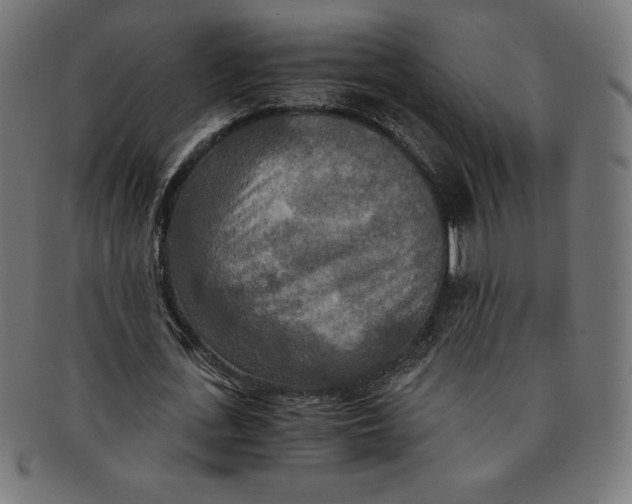X0000091200723200709061413