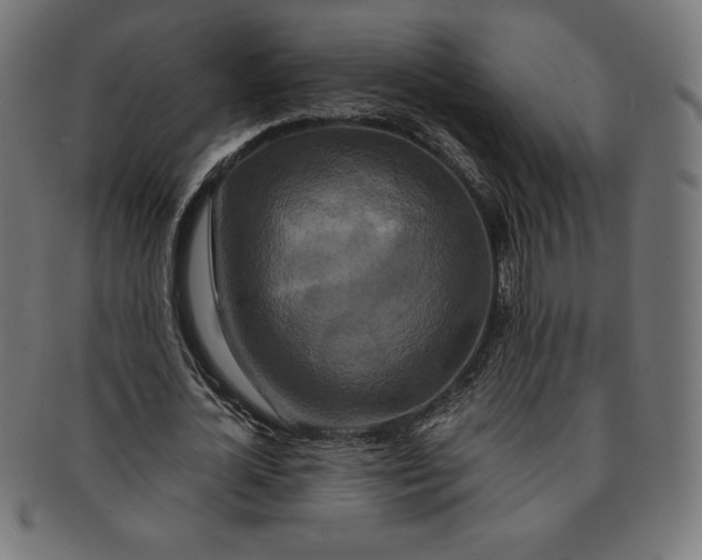 X0000091200724200709061413