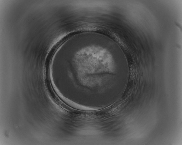 X0000091200726200709061413
