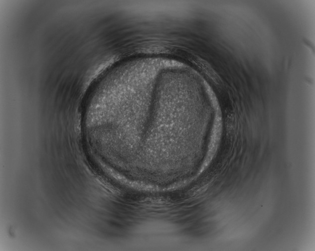 X0000091200727200709061413