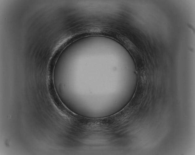 X0000091200728200709061413