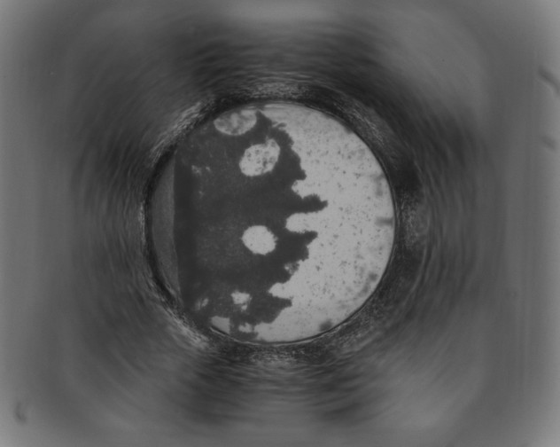 X0000091200729200709061413