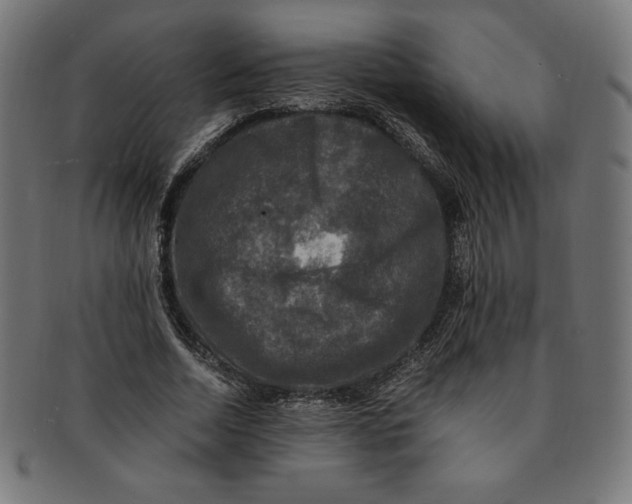 X0000091200730200709061413