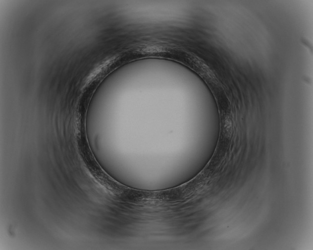 X0000091200732200709061413