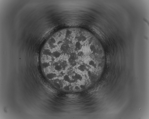 X0000091200733200709061413