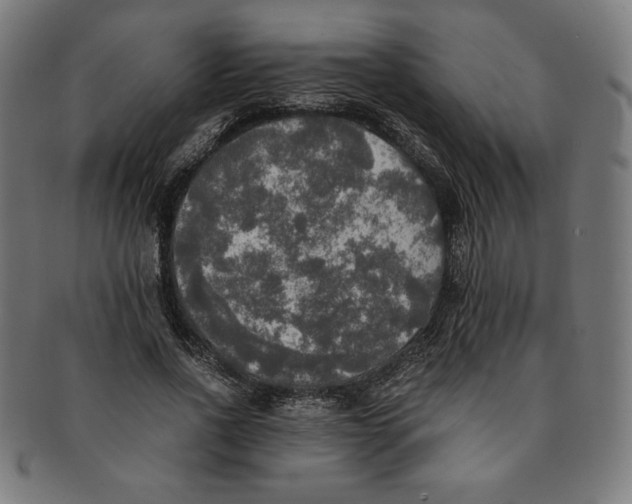X0000091200734200709061413