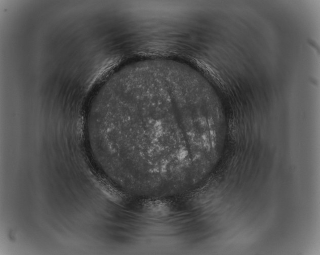 X0000091200735200709061413