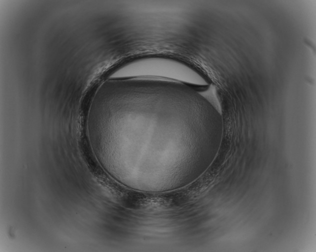 X0000091200736200709061413