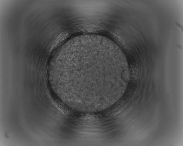 X0000091200738200709061413