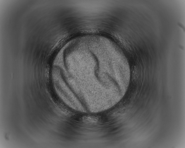 X0000091200739200709061413