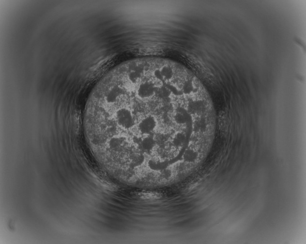 X0000091200741200709061413