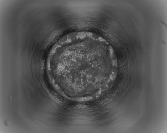 X0000091200742200709061413