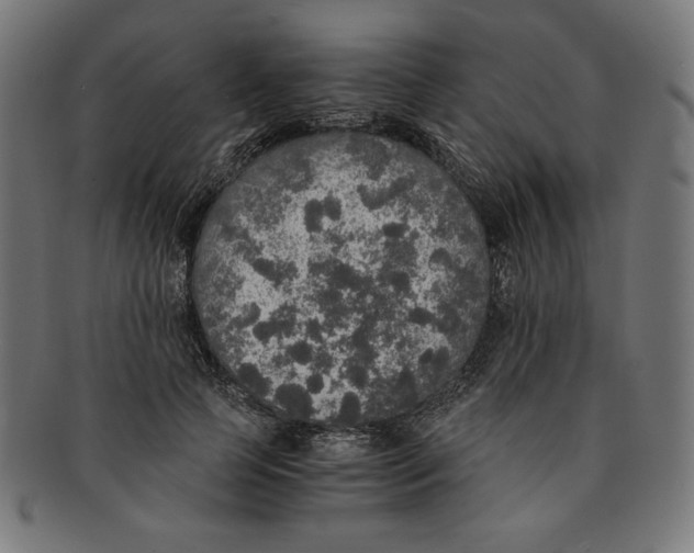 X0000091200745200709061413