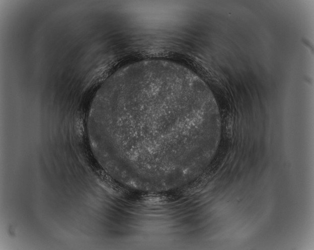 X0000091200746200709061413