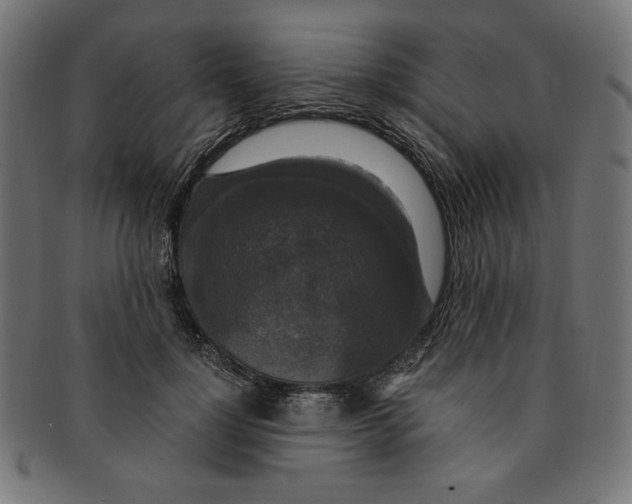 X0000091200748200709061413