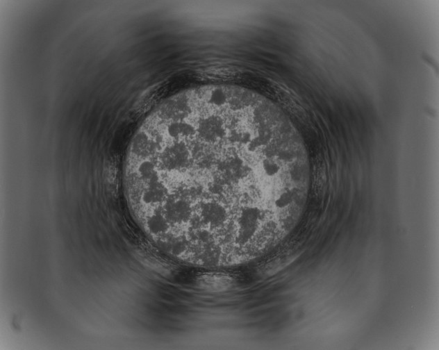 X0000091200749200709061413