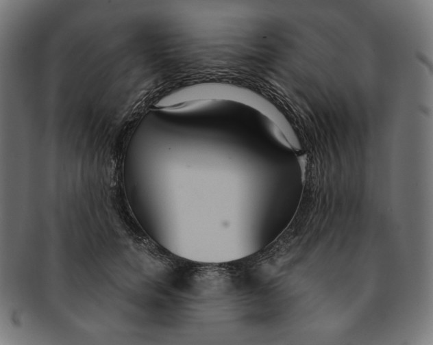 X0000091200750200709061413