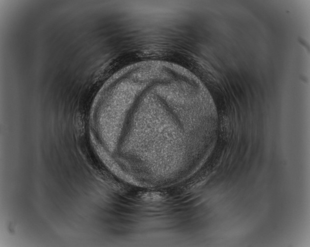 X0000091200751200709061413